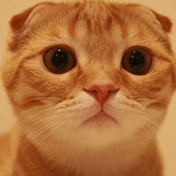 苹果手机如何访问国外